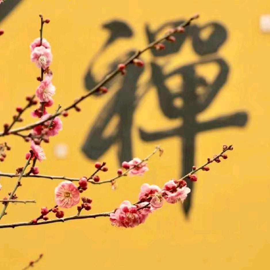 阳明