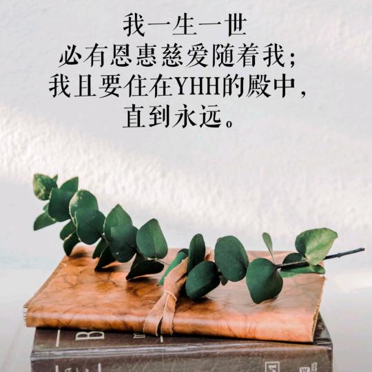 🎸麦子