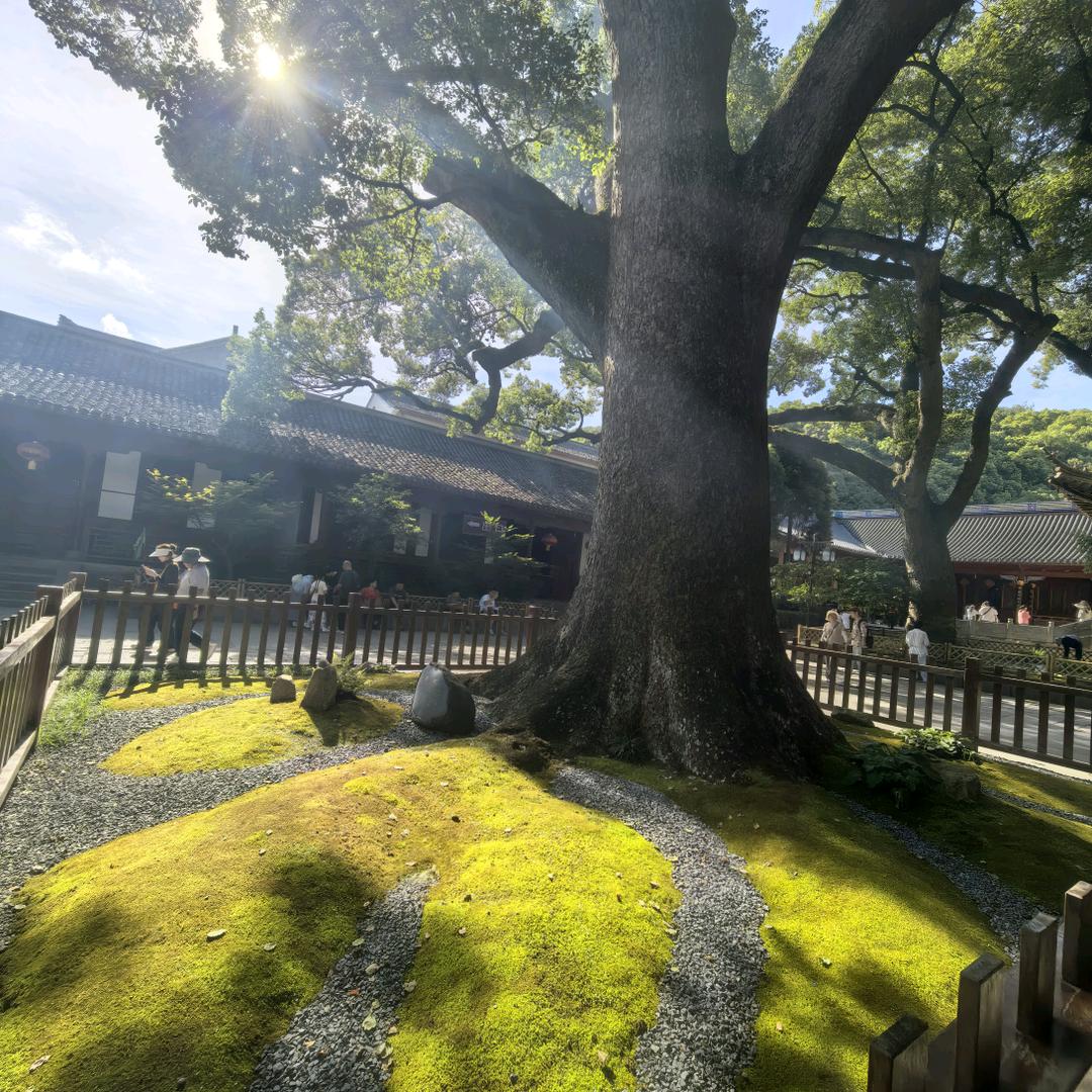 一栗莎