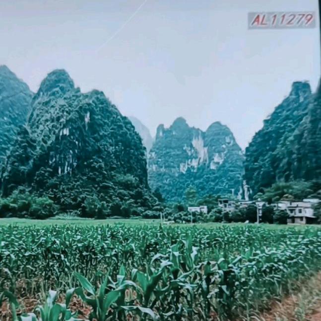 今生无缘来生不聚