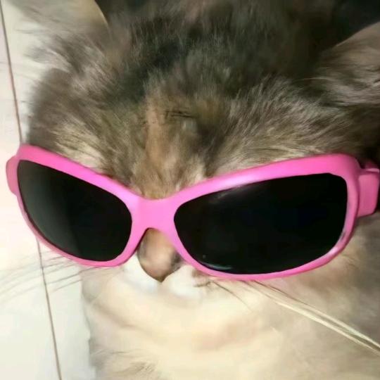 🌈黑糖奥利奥