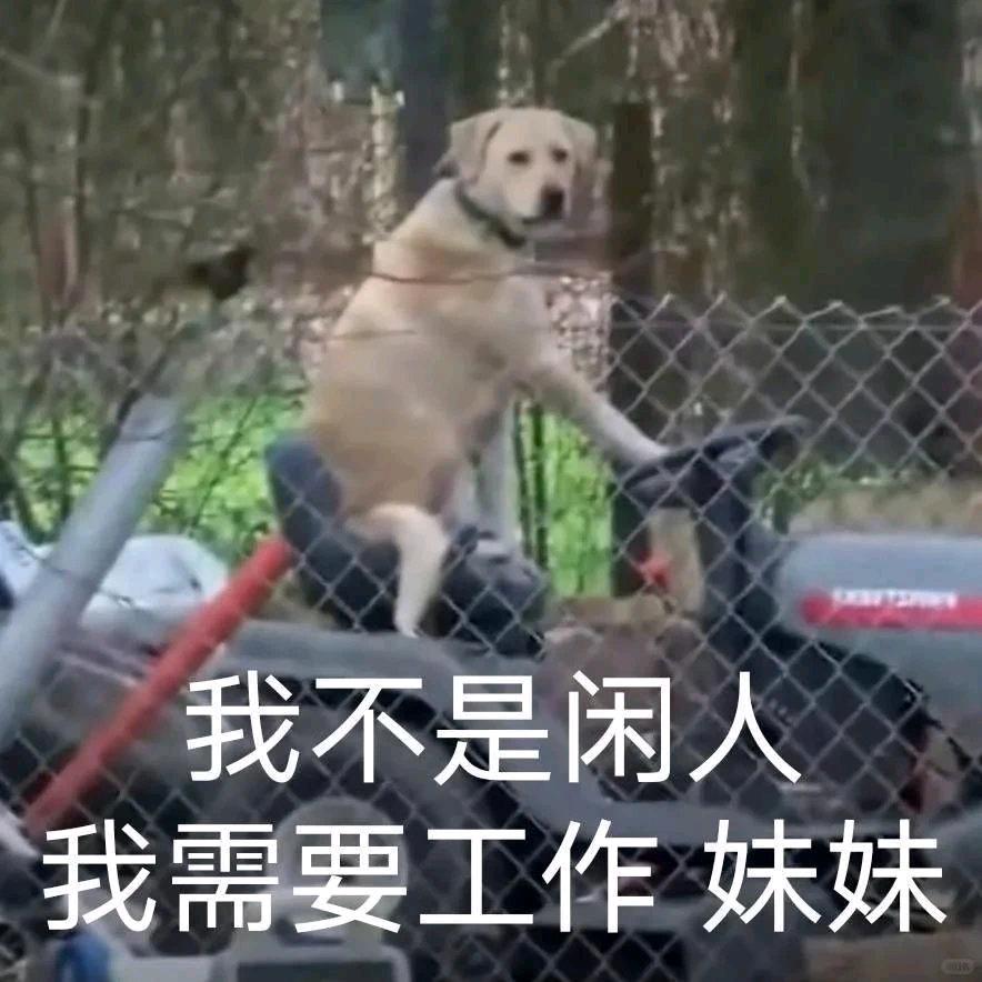 我爱睡大觉