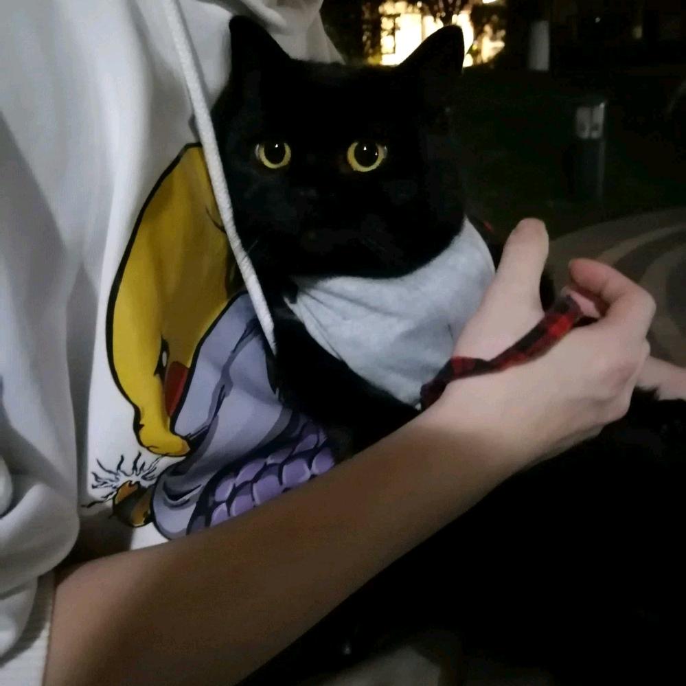 如果呢