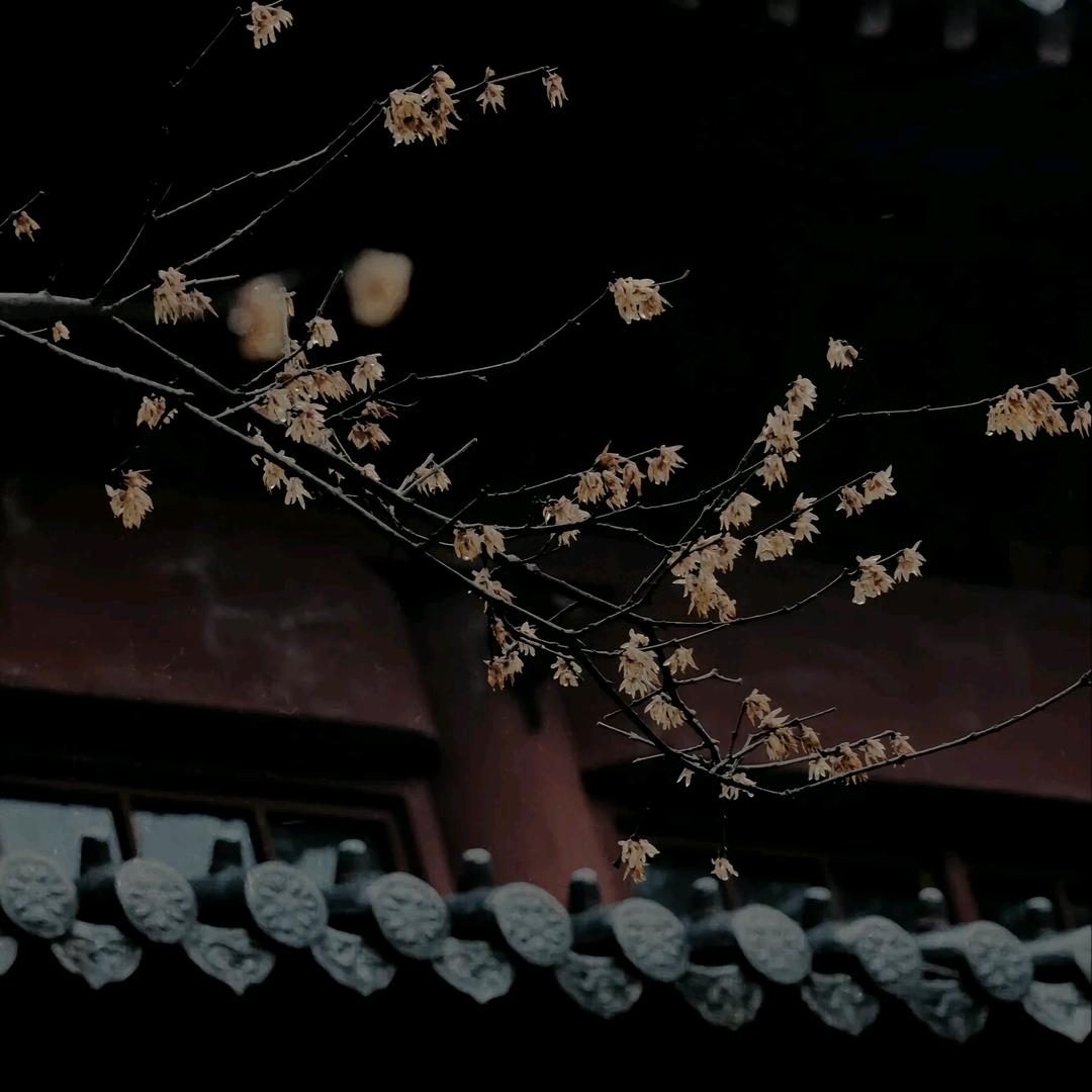 魏什么