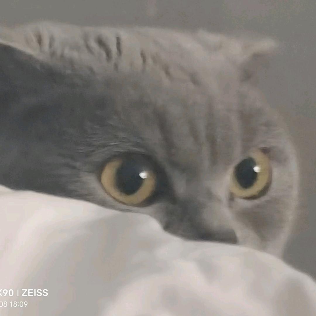 @宇泽