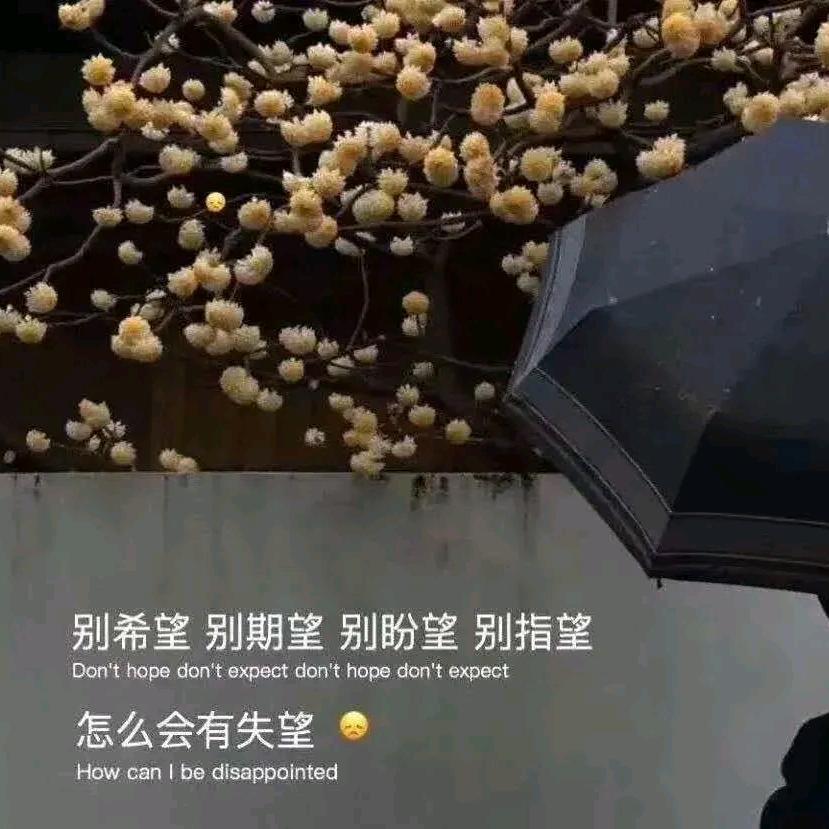 爱是一道光吖