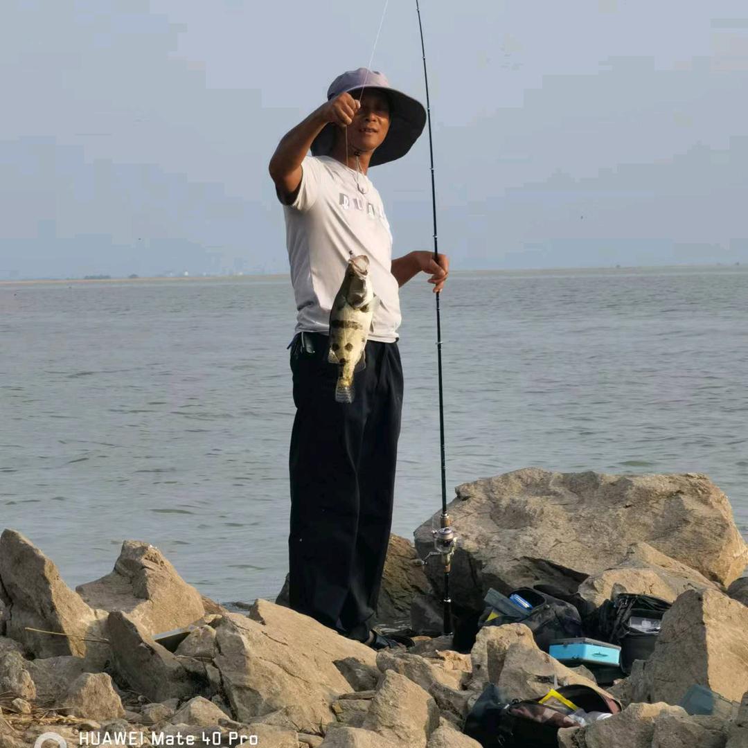 钓鱼哥