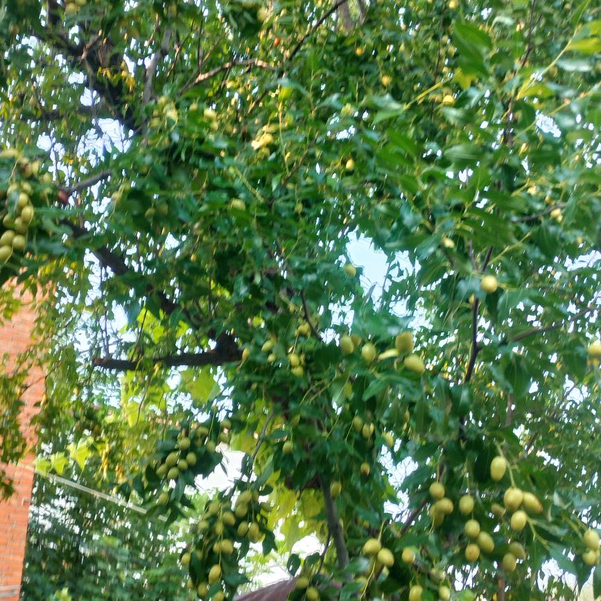 开心每一天🍀