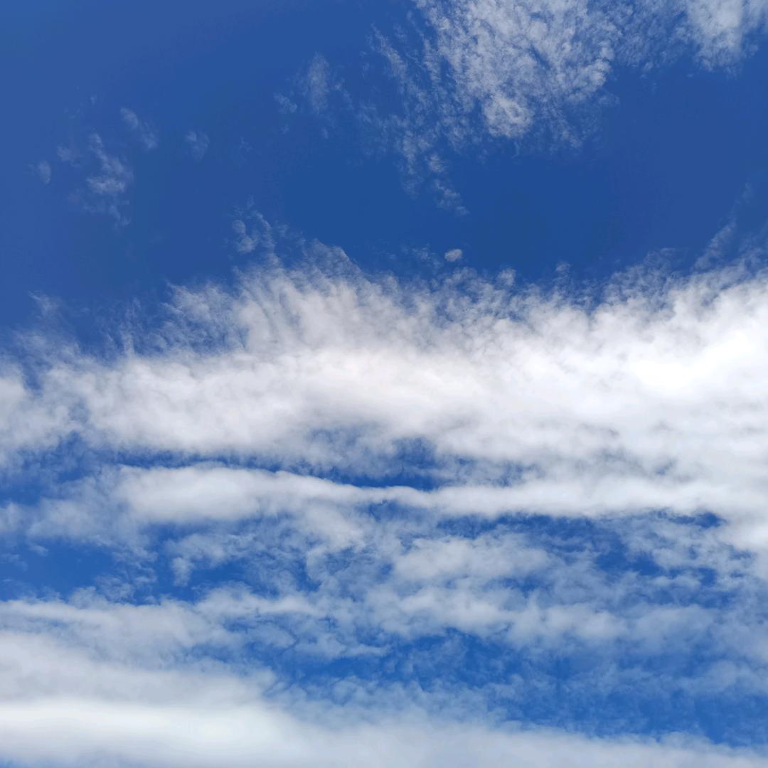 梦想成真🌹🌹