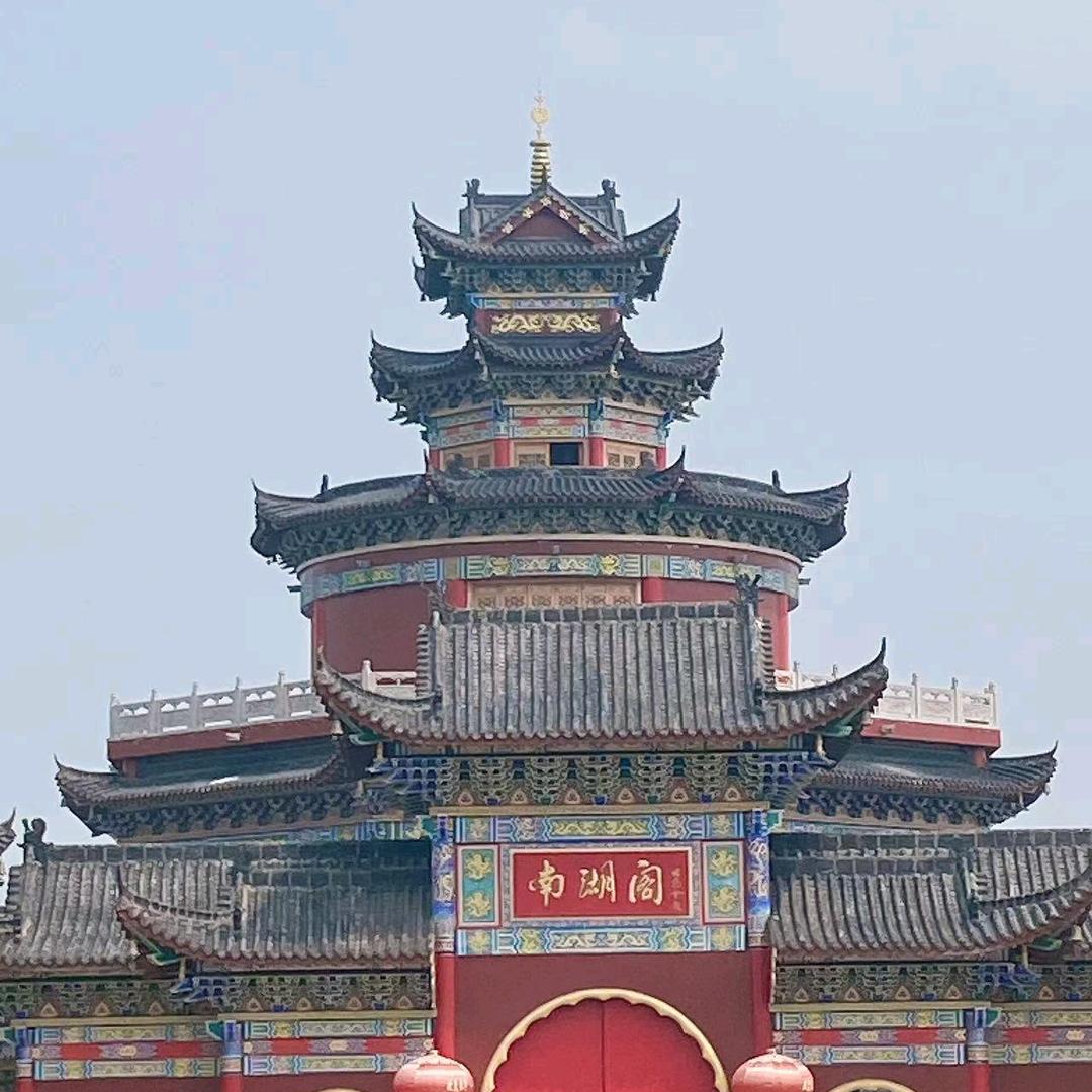 天山雪莲花🪷