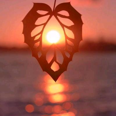 河南交通事故、骑手理赔