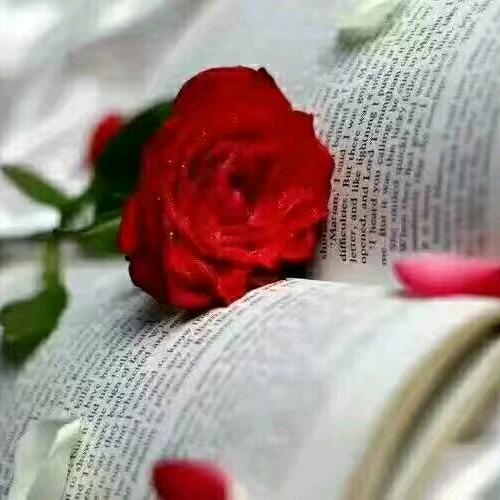 人生若只如  初见