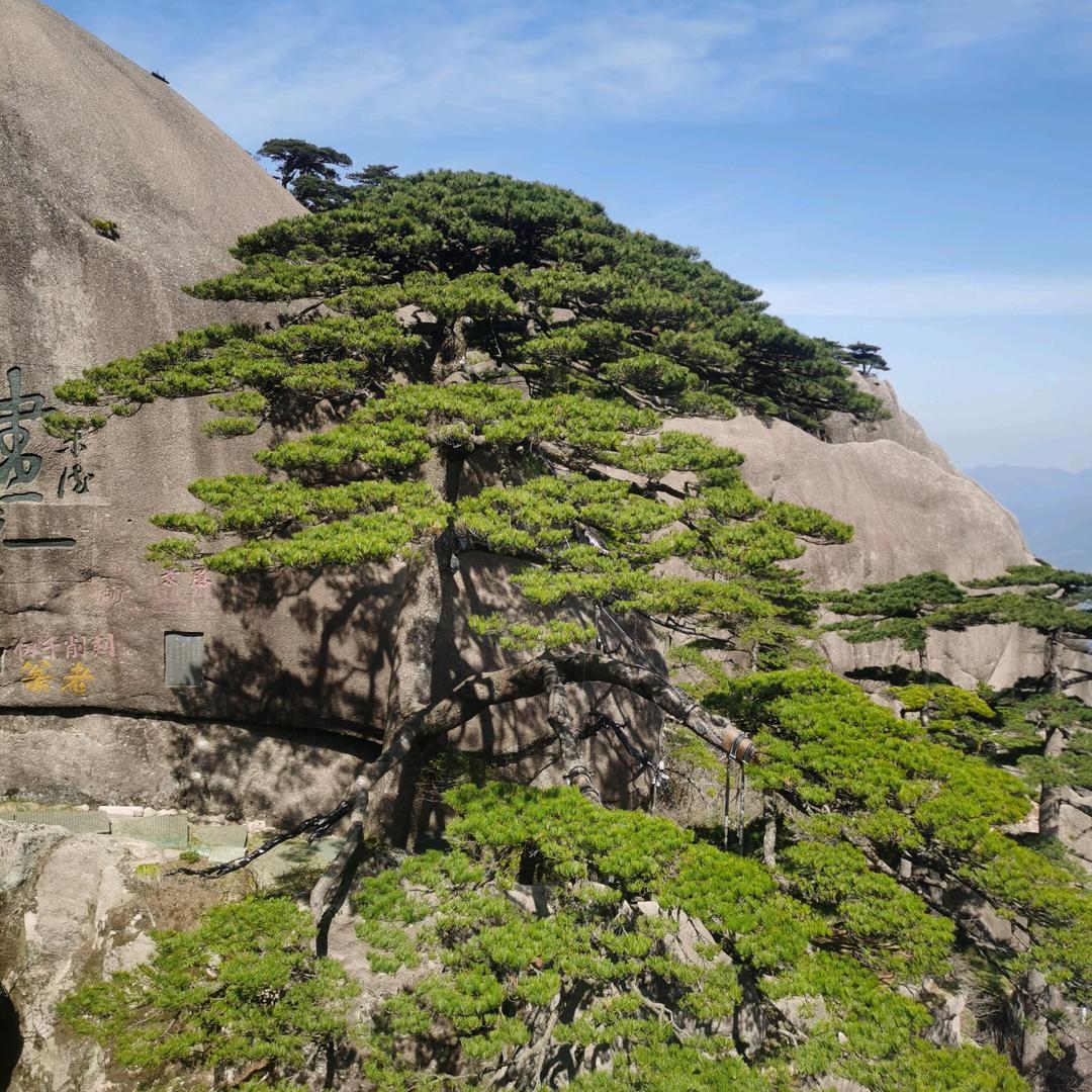 阳光一生