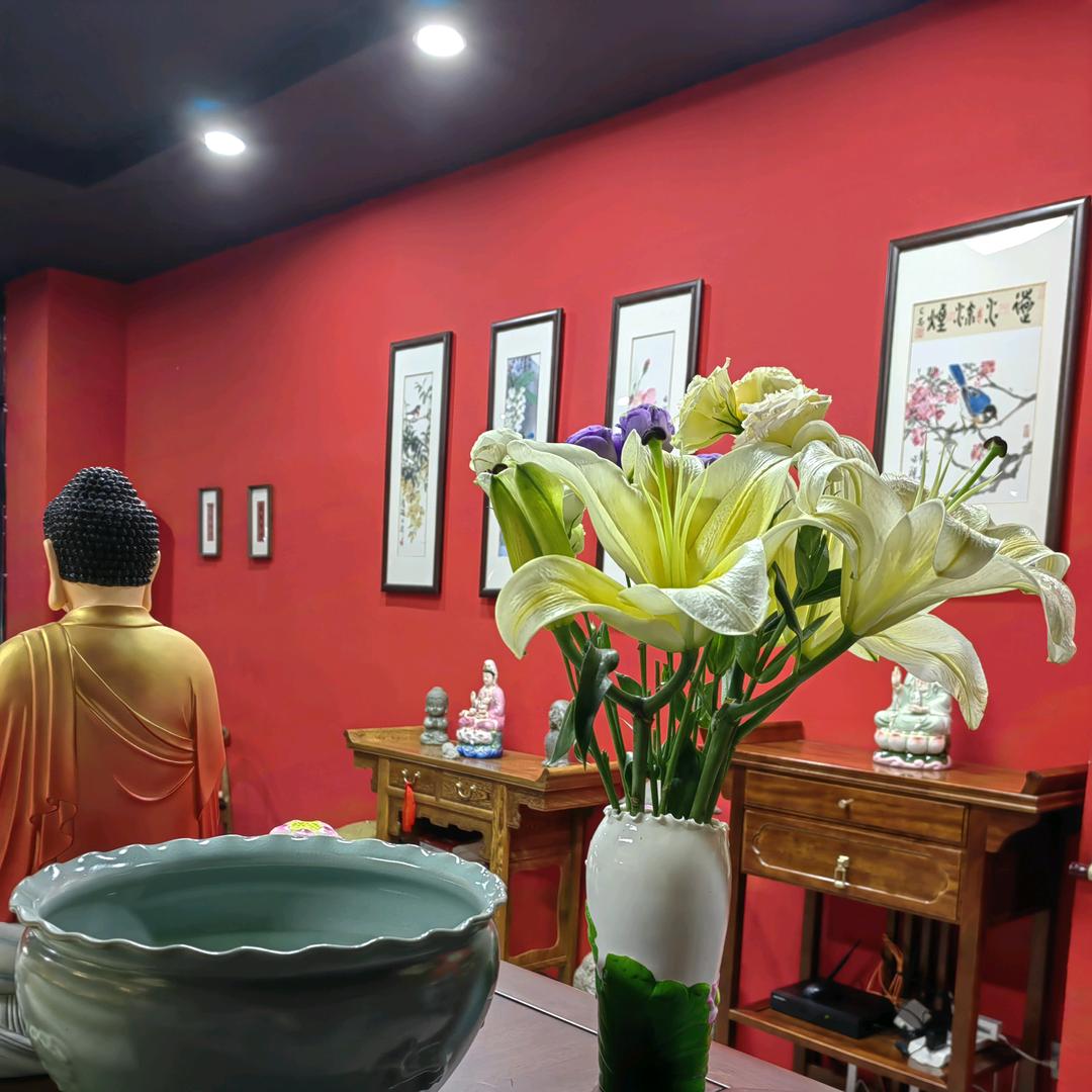 冯丽丽（随心园平价小茶馆）