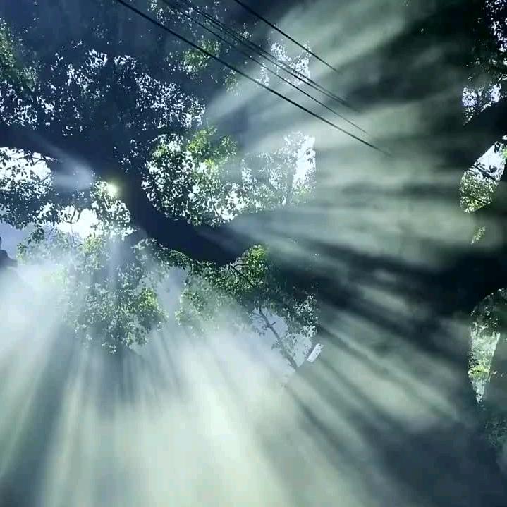流浪丁达尔