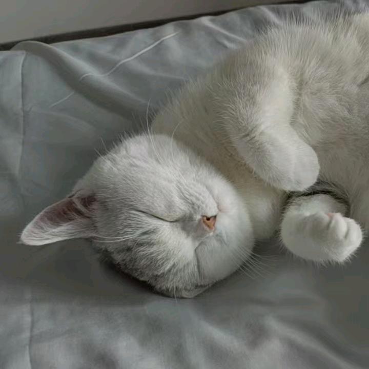 帮帮帮帮帮帮帮