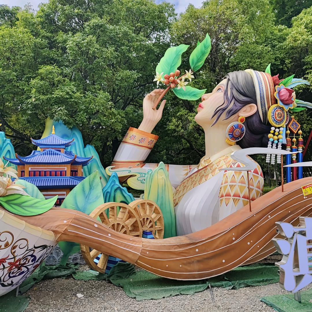 向阳而开