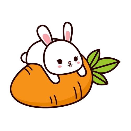 华丽小萝卜