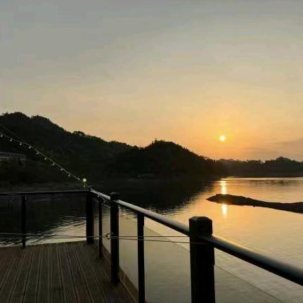 毅往情深