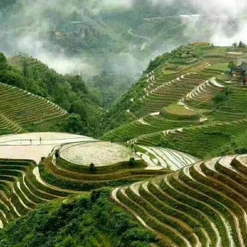 健康平安就是福