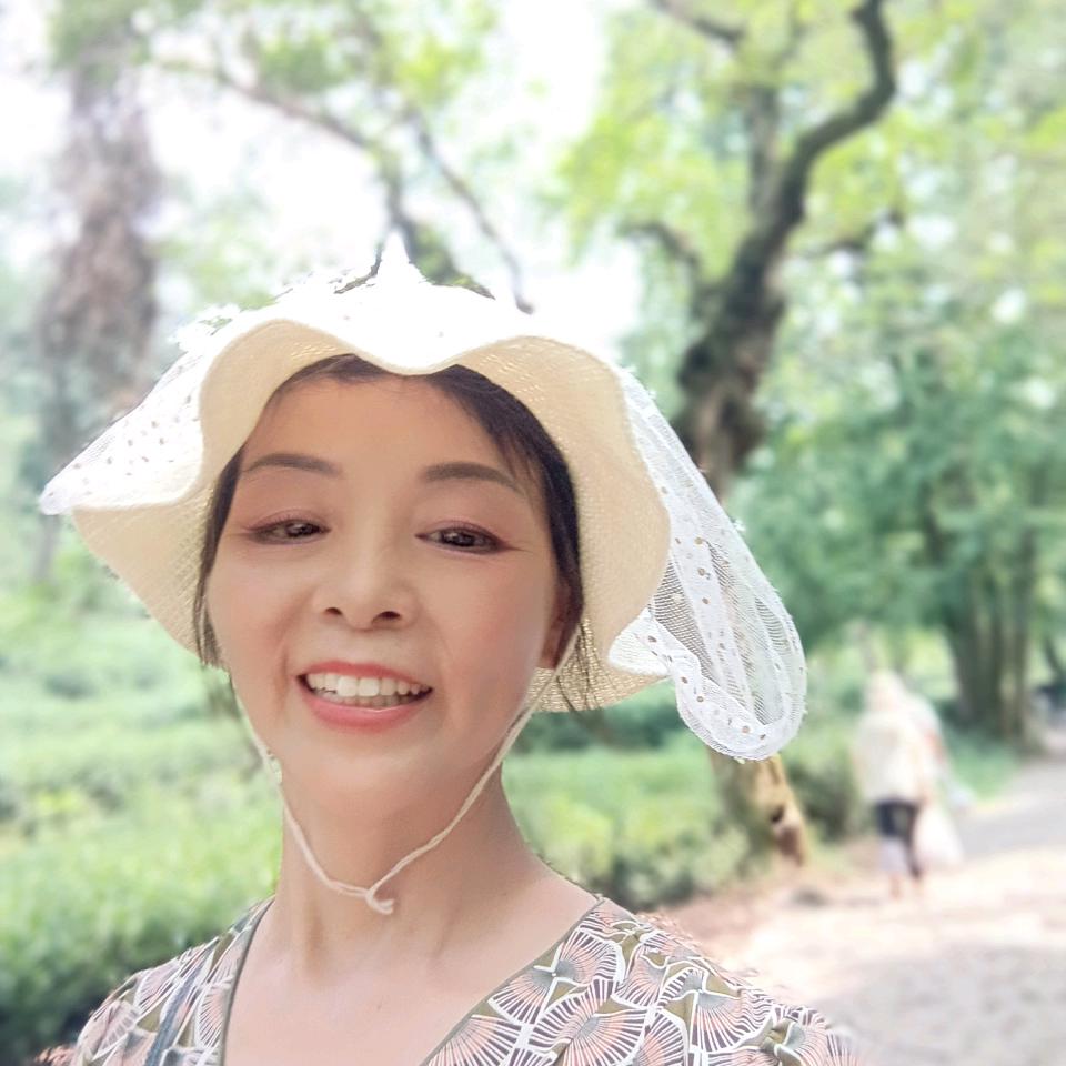 快乐的白鸽