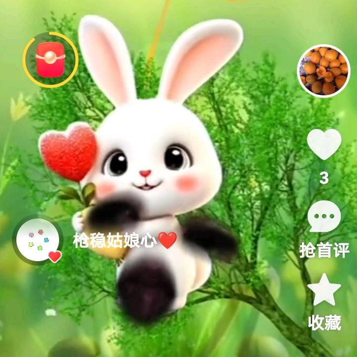 我把曾心喂了狗