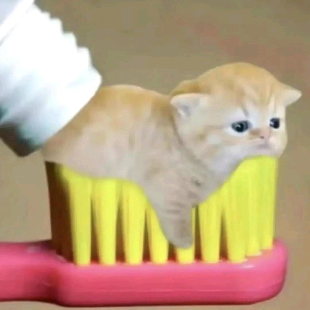 tttian
