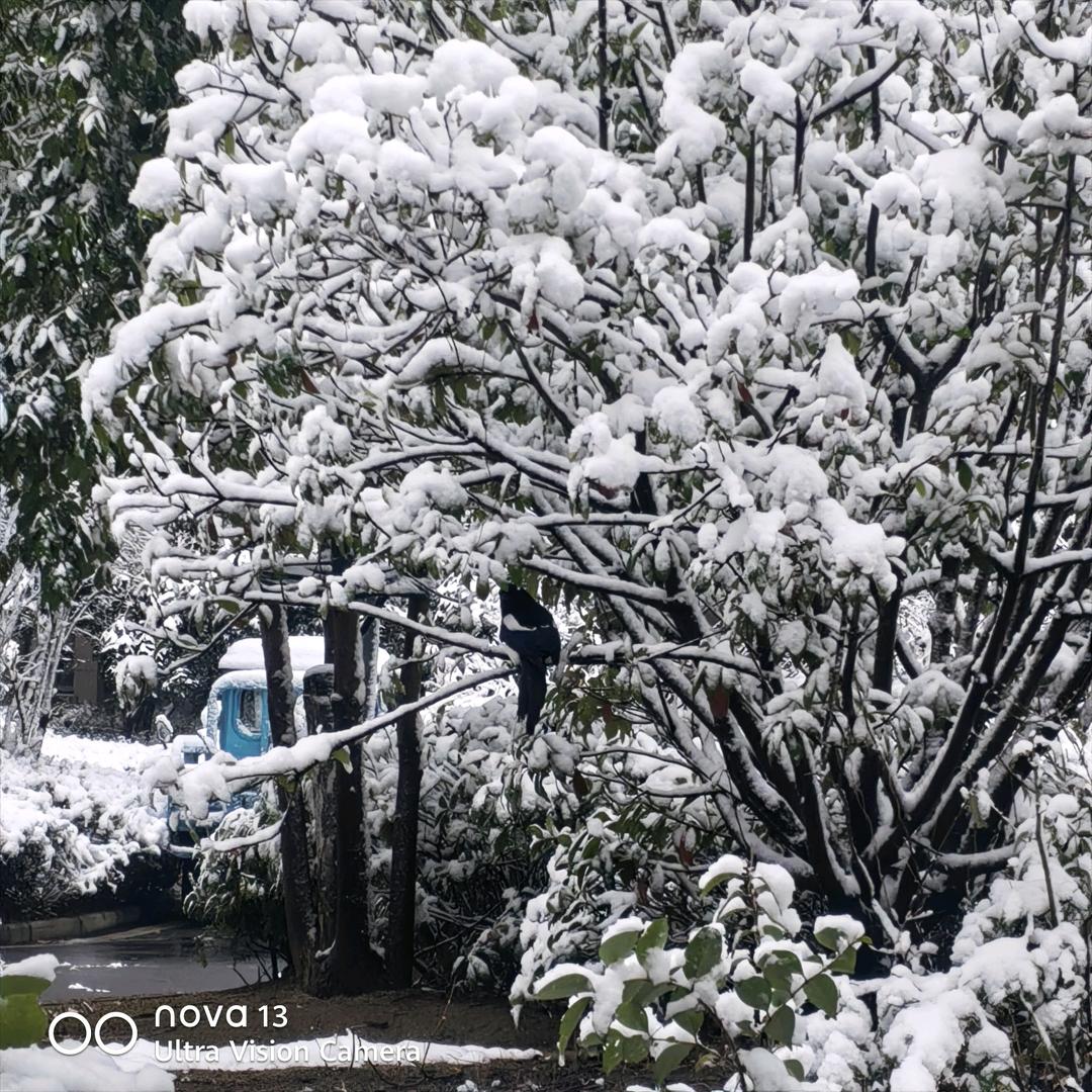 👑迷茫的心再无归处☠️