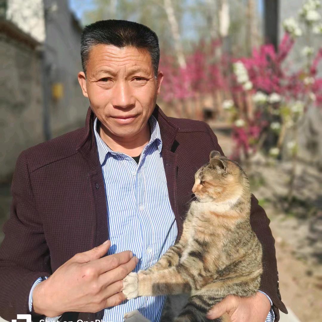 随遇而安@