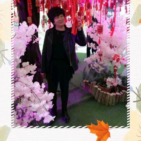 芝