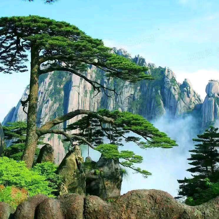 绿水青山