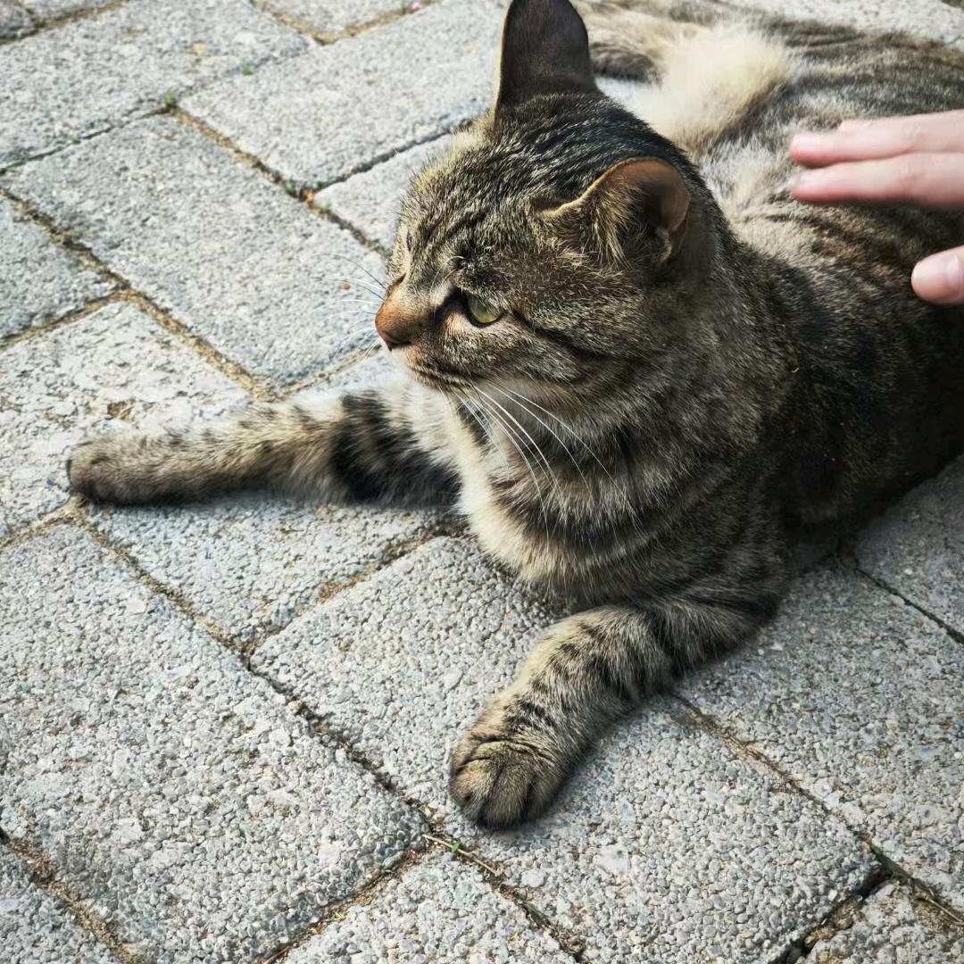 Aaaaaa迪