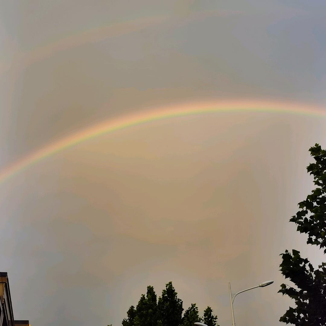 与美好撞个满怀