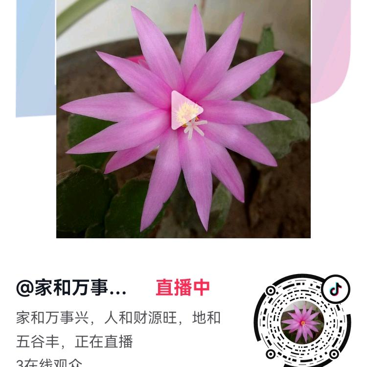 家和国强