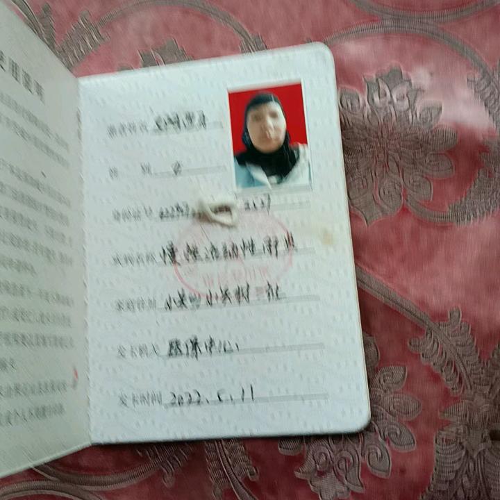 山清水秀的积石山。