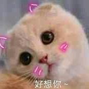 回憶再美終究是傷