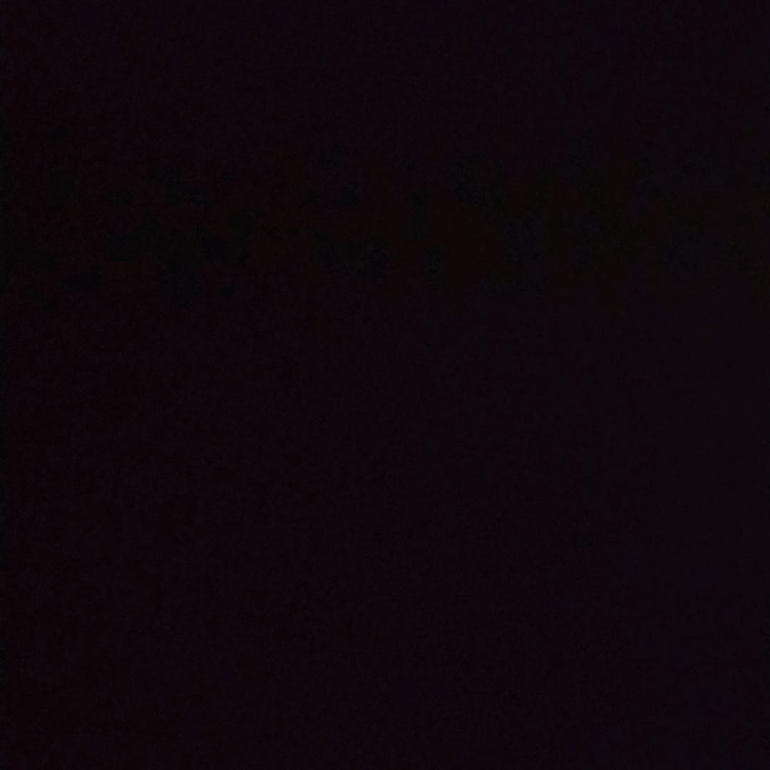 鹏