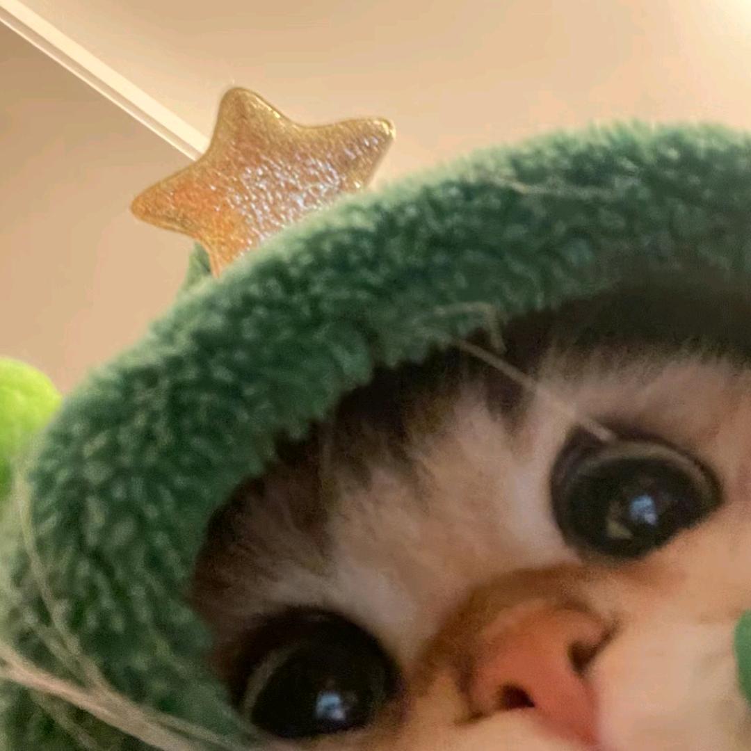 隽隽