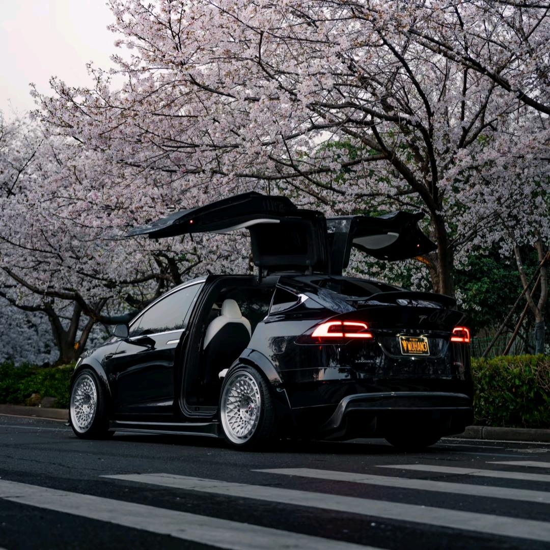 猩猩懂特斯拉（二手专研）