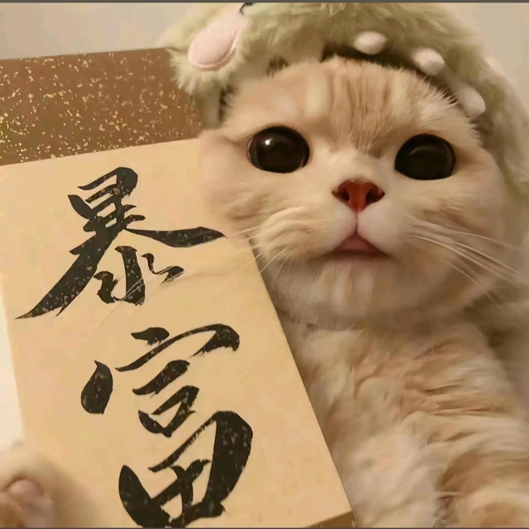 🌟鑫宝🌟
