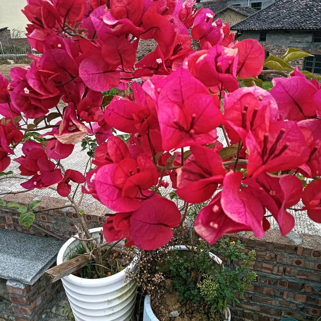 朱小芳一切改变