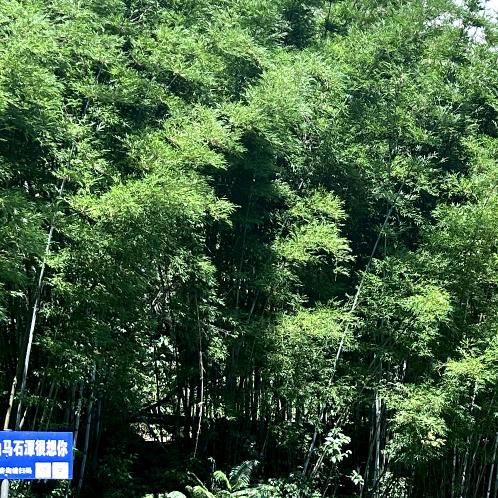 用户 1277