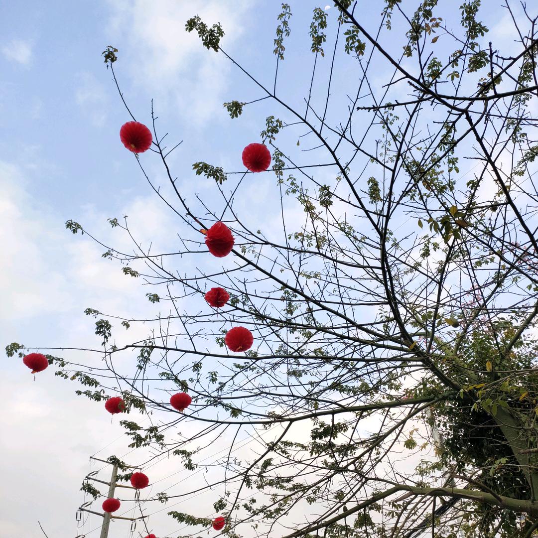 🐌嘟嘟忙着长大