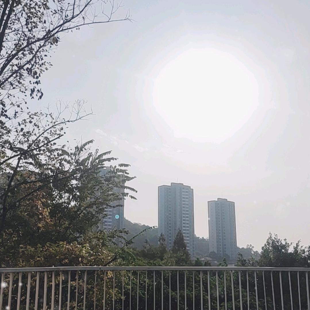 →_→ 拥有←_←阳光^=_=^