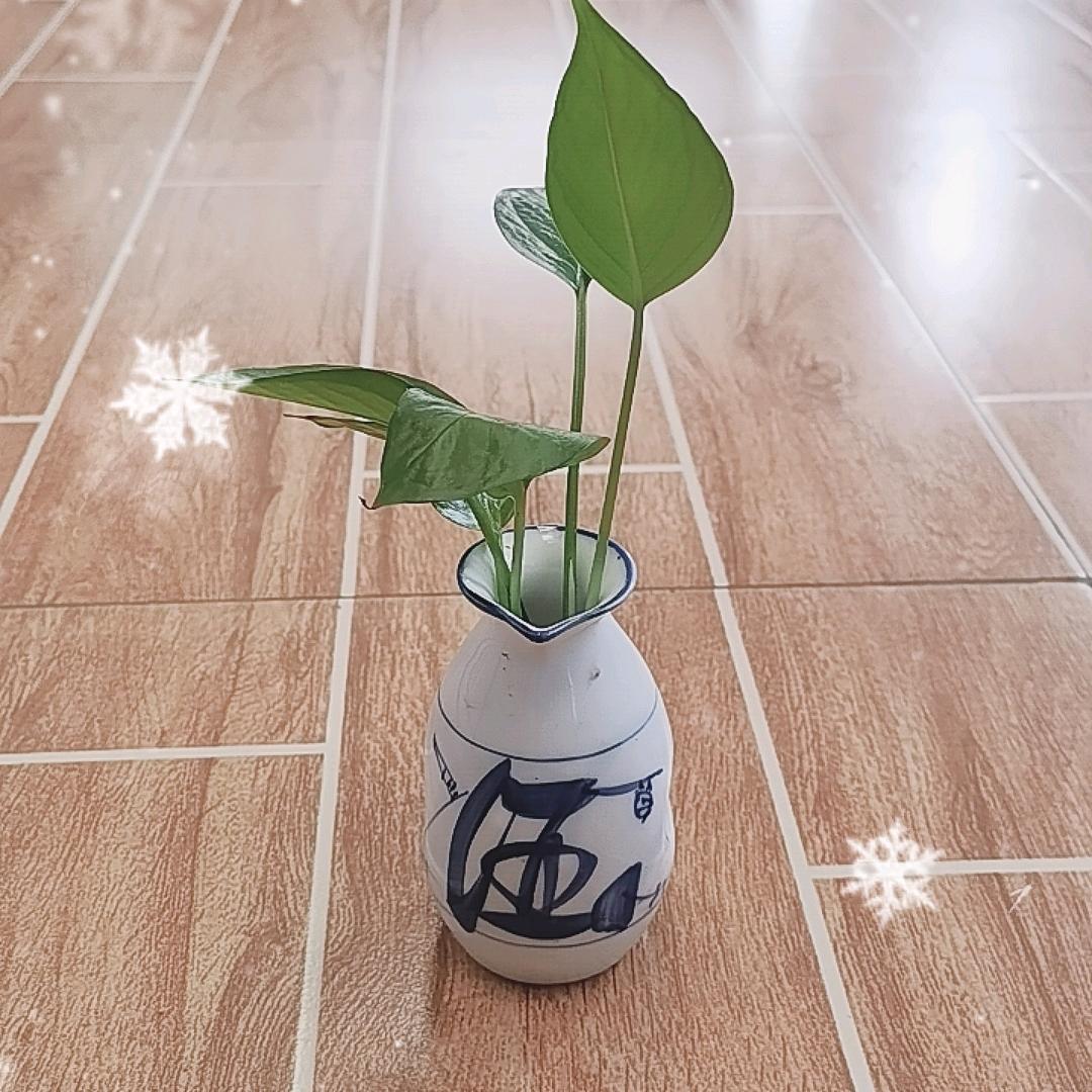 正道沧桑