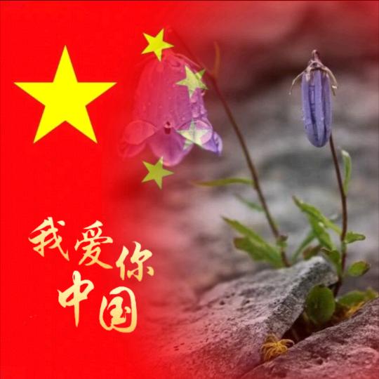 米粒儿