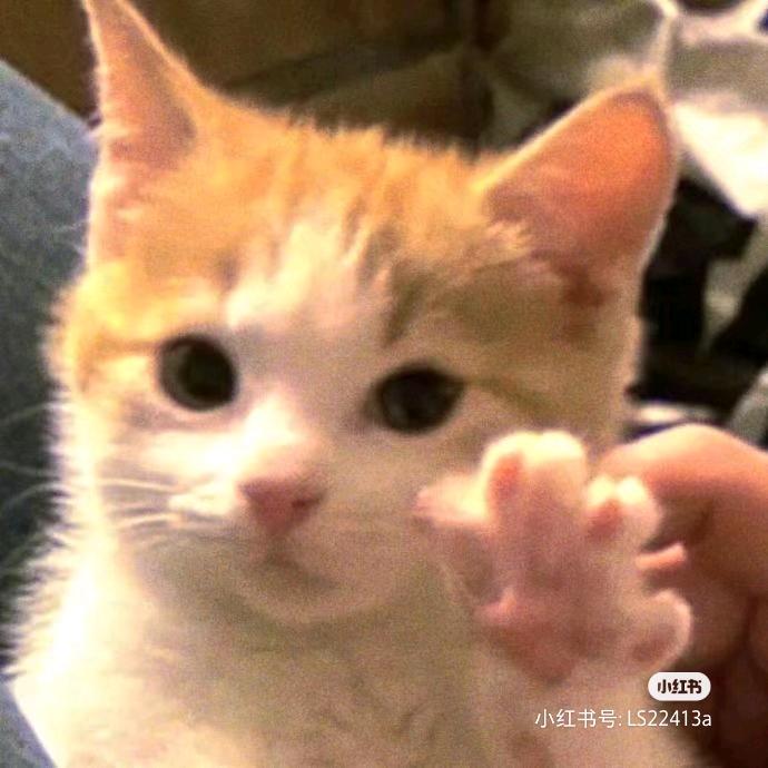 铜湘玉-西安台球版