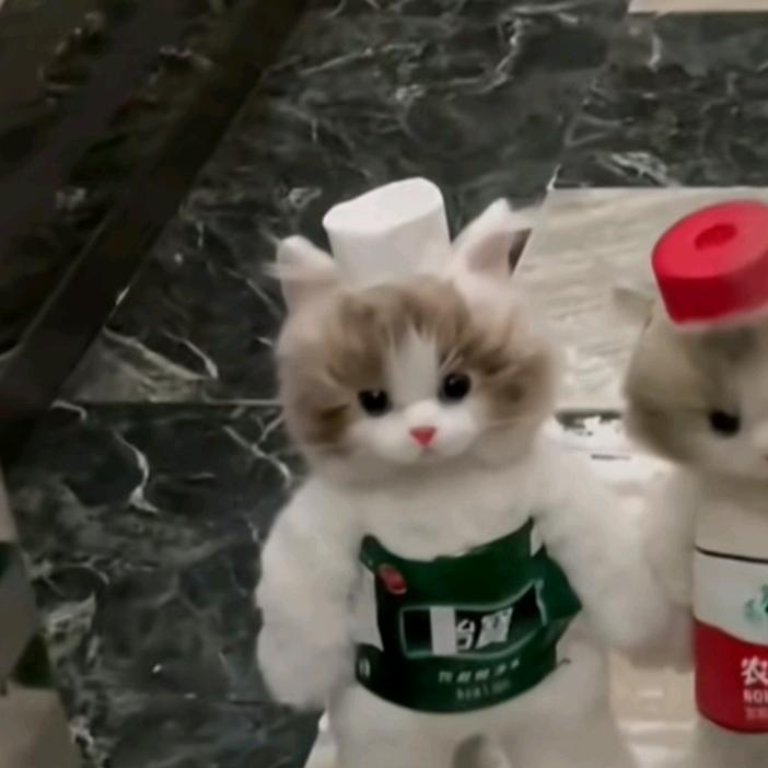 狼堡第一帅