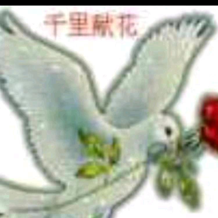 红尘独宠一人