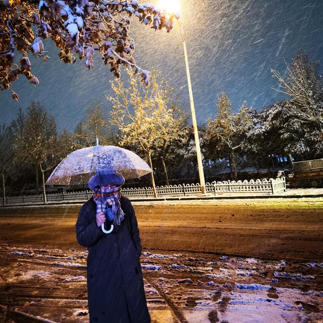 🌈好大一条🐟